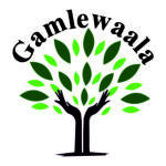 Gamlewaala logo final